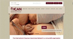 Desktop Screenshot of ican-online.org